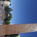  , , 49  -  3  2016      2016