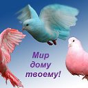 ���� �������, ������� ����, 66 ��� - ��������� 11 ����� 2016 � ������ ������ ��������