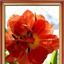 ���� Jana, ������, 68 ��� - ��������� 22 ������� 2016 � ������ ���������...�