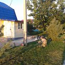 ���� ���������, �������������� - ��������� 8 �������� 2016 � ������ �����