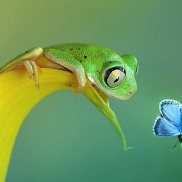 ����, �����-���������, 70 ���