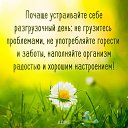 ���� ����� - ������, �����-���������, 56 ��� - ��������� 9 ������� 2016 � ������ ������ ��������