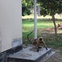 ���� Vickula, ����, 57 ��� - ��������� 28 ����� 2016 � ������ �����������