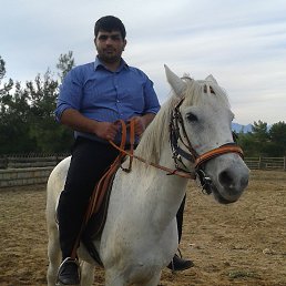 Fatih, �������, 37 ���