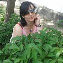 ���� ����, ���������, 44 ���� - ��������� 5 ��� 2016 � ������ �� � ������ ��