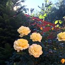 ���� Natali, ������, 60 ��� - ��������� 17 ����� 2016 � ������ ���� ����������