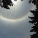 ���� N, ���������, 68 ��� - ��������� 24 ������� 2016 � ������ ���� ����������