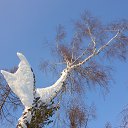 ���� �������, ������, 47 ��� - ��������� 4 ������� 2016 � ������ ���������