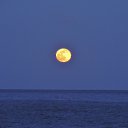  , , 60  -  26  2016    ,22-23.04.16.  