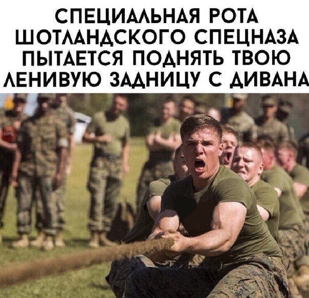  -   - 5  2016  08:33