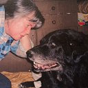 ���� �������, ������, 76 ��� - ��������� 30 ���� 2016 � ������ ���� ����������