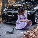 ���� ��������, ���������, 44 ���� - ��������� 29 ����� 2016 � ������ ������ ��������