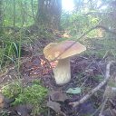 ���� �����, ������, 64 ���� - ��������� 22 ���� 2016 � ������ ���� ����������