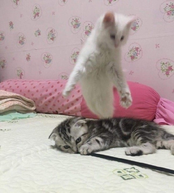     )