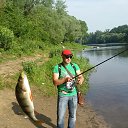 ���� �������, ������, 36 ��� - ��������� 8 ������� 2016 � ������ ���� ����������