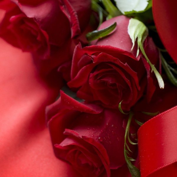 http://img0.liveinternet.ru/images/attach/c/4/79/244/79244410_Buket_roz_v_vode_animaciya_voduy.gif