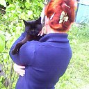  , , 50  -  24  2016   ߻