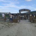 ���� ����� &reg;, �������, 49 ��� - ��������� 10 ���� 2016 � ������ ���� ����������