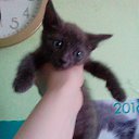 ���� �����, ����, 50 ��� - ��������� 14 ��� 2016 � ������ ������ ��������