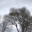 ���� ���������, ���������, 34 ���� - ��������� 29 ������ 2016 � ������ ������ ��������