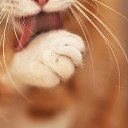 ���� ����� �����, ����, 50 ��� - ��������� 1 ���� 2016 � ������ �������� ������