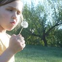 ���������� �� ������� ���� ����������