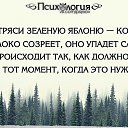 ���� ��������, ���������, 38 ��� - ��������� 12 ���� 2016 � ������ �Xren'�