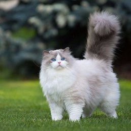 ���� �������, ������, 29 ��� - ��������� 9 �������� 2016