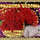 ���� �����, �����-���������, 65 ��� - ��������� 29 ������ 2016 � ������ �������� ��������
