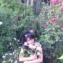 ���� ��������, ����� - ��������� 24 ������� 2016 � ������ ���� ����������