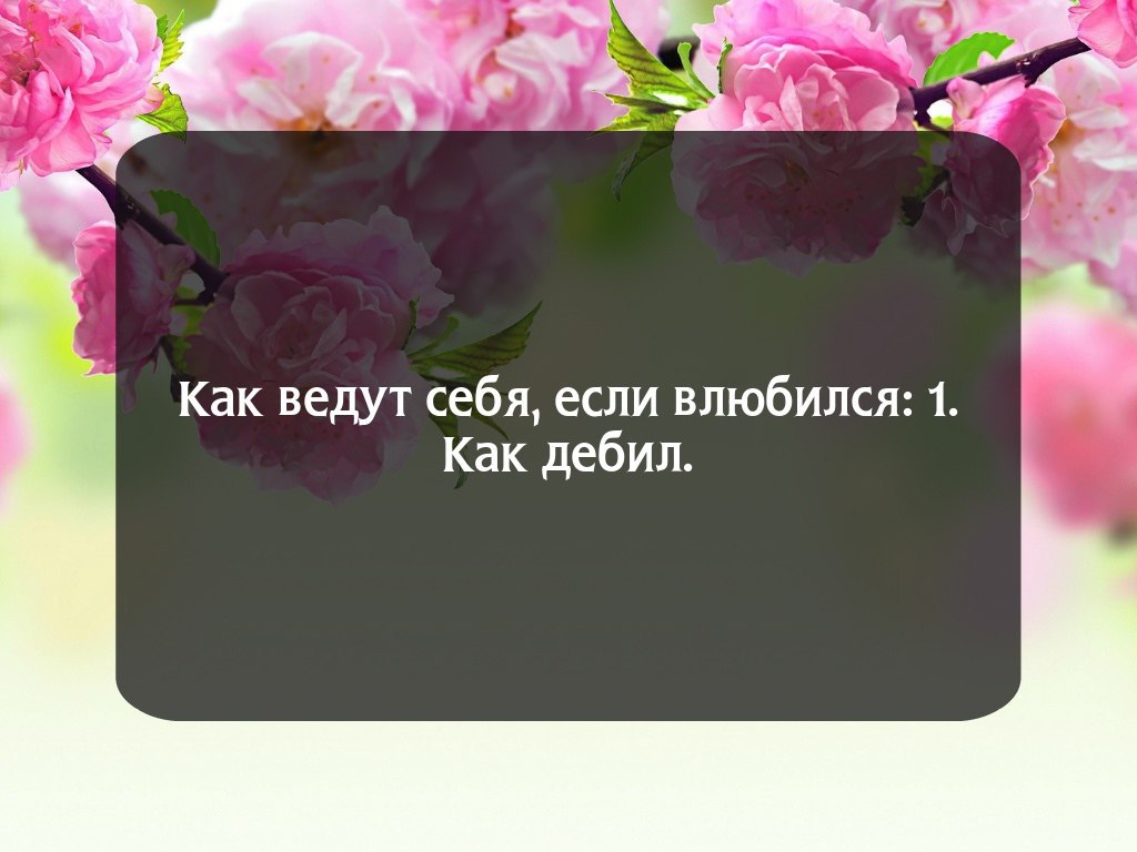 , , , ,  - 24  2016  20:32