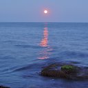  , , 60  -  26  2016    ,22-23.04.16.  