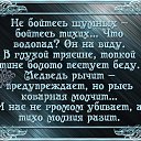 ���� �������, �����������, 52 ���� - ��������� 14 ����� 2016 � ������ ������ ��������