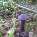 ���� �����, ������, 64 ���� - ��������� 28 ���� 2016 � ������ ���� ����������