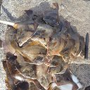 ���� ���������, �������, 53 ���� - ��������� 8 �������� 2016 � ������ ���� ����������