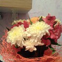 ���� ������ - ������� ����, ������ - ��������� 11 ��� 2016