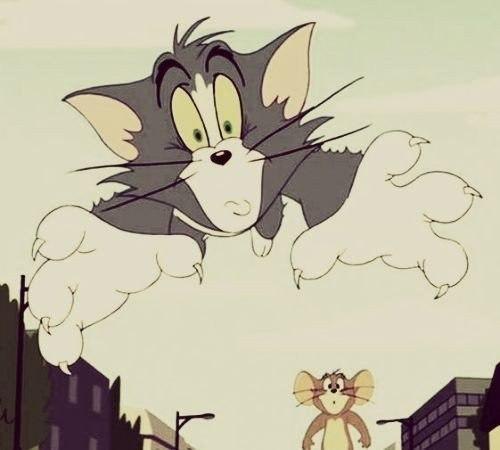 Будьте как Том и Джери. Ругайтесь, но никогда не расставайтесь! - 5