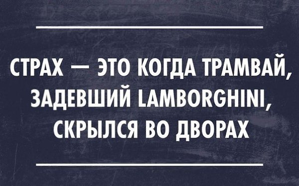 Чем дольше смотришь на эту фотографию, тем больше не понимаешь, что на ней происходит