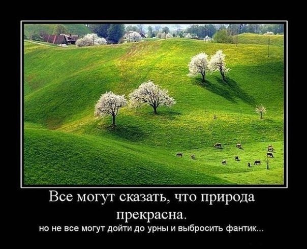  |  |  - 6  2016  19:17