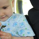 ���� �����, �����������, 38 ��� - ��������� 31 ����� 2016 � ������ ���� ����������