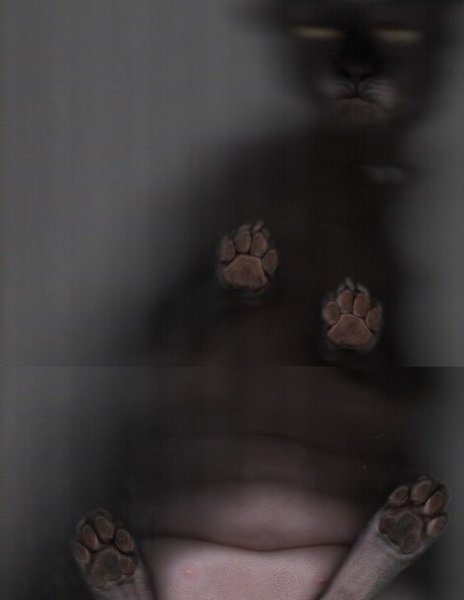 Сканирование кошки — вот то, ради чего действительно стоит жить. - 10