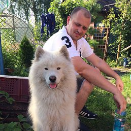 �������, ��������, 40 ���