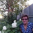 �������� ���������, ��� � ��� ������!.. �� ������� ��� ���� � ������ 2016�