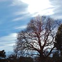  , , 60  -  23  2016       ,18-20.03.16