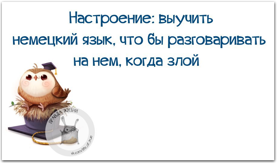 Правда Жизни - 28 июня 2016 в 11:43