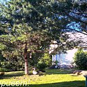 ���� ���������, �����-���������, 62 ���� - ��������� 2 ������ 2016 � ������ ���� ����������