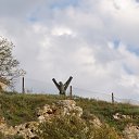 ���� Vitalii, �����������, 45 ��� - ��������� 20 ���� 2016 � ������ ���� ����������