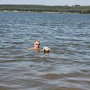 ���� ��������, �����������, 68 ��� - ��������� 22 ���� 2016 � ������ ���� ����������