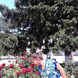 ������, ������� ���������