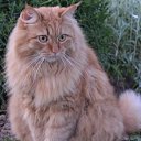 ���� �������, ������ - ��������� 29 ��� 2016